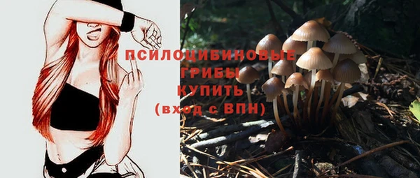ECSTASY Покров